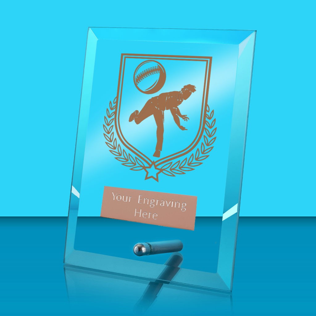 UV Colour Printed Cricket Glass Rectangle Award with Metal Pin