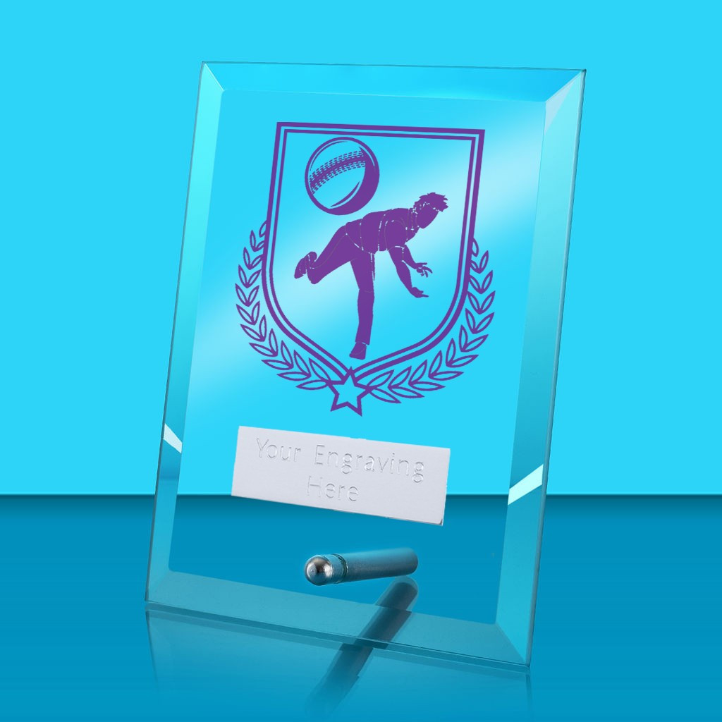 UV Colour Printed Cricket Glass Rectangle Award with Metal Pin