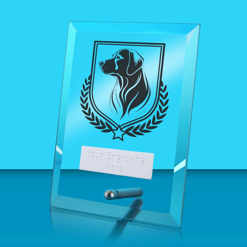 UV Colour Printed Dog Glass Rectangle Award with Metal Pin