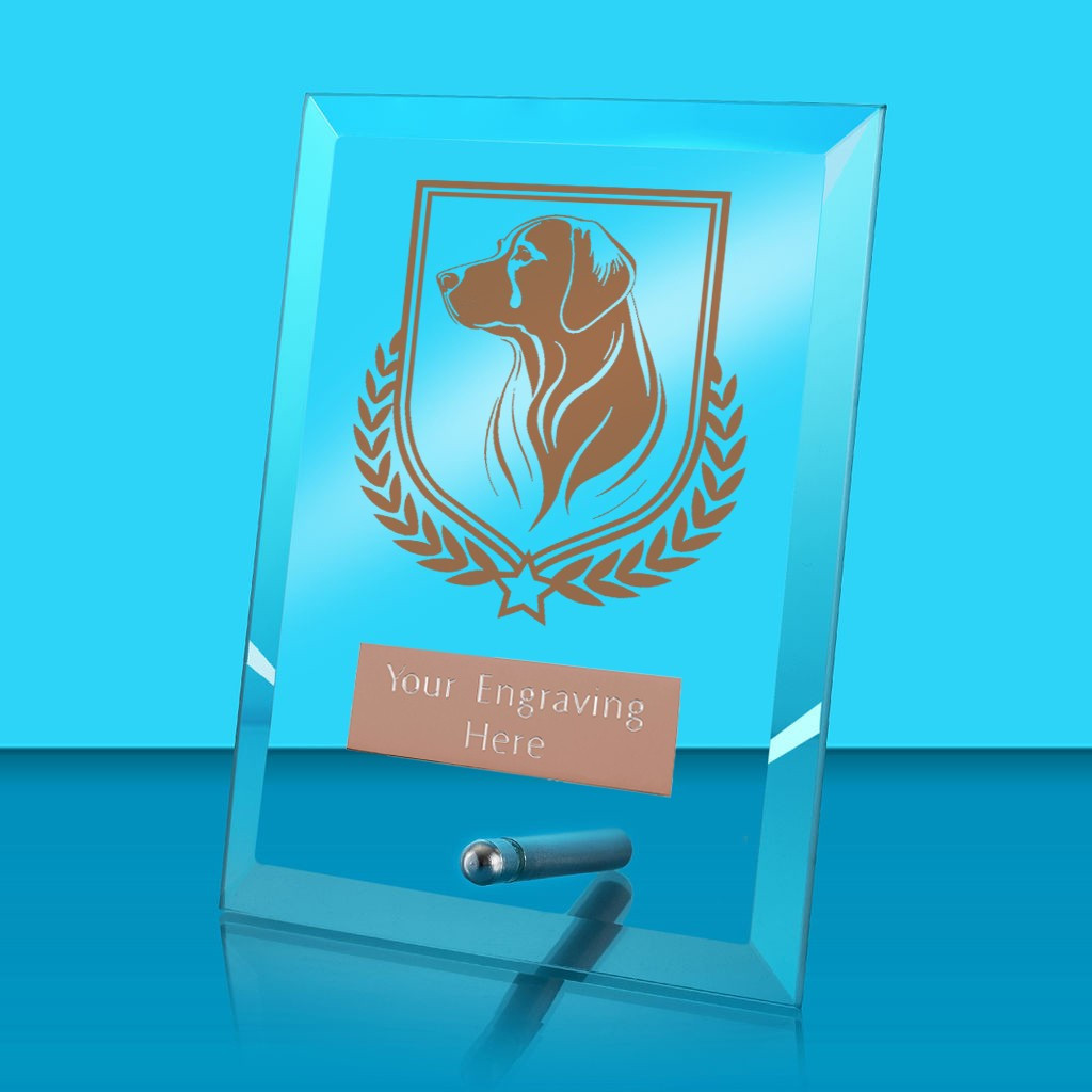 UV Colour Printed Dog Glass Rectangle Award with Metal Pin