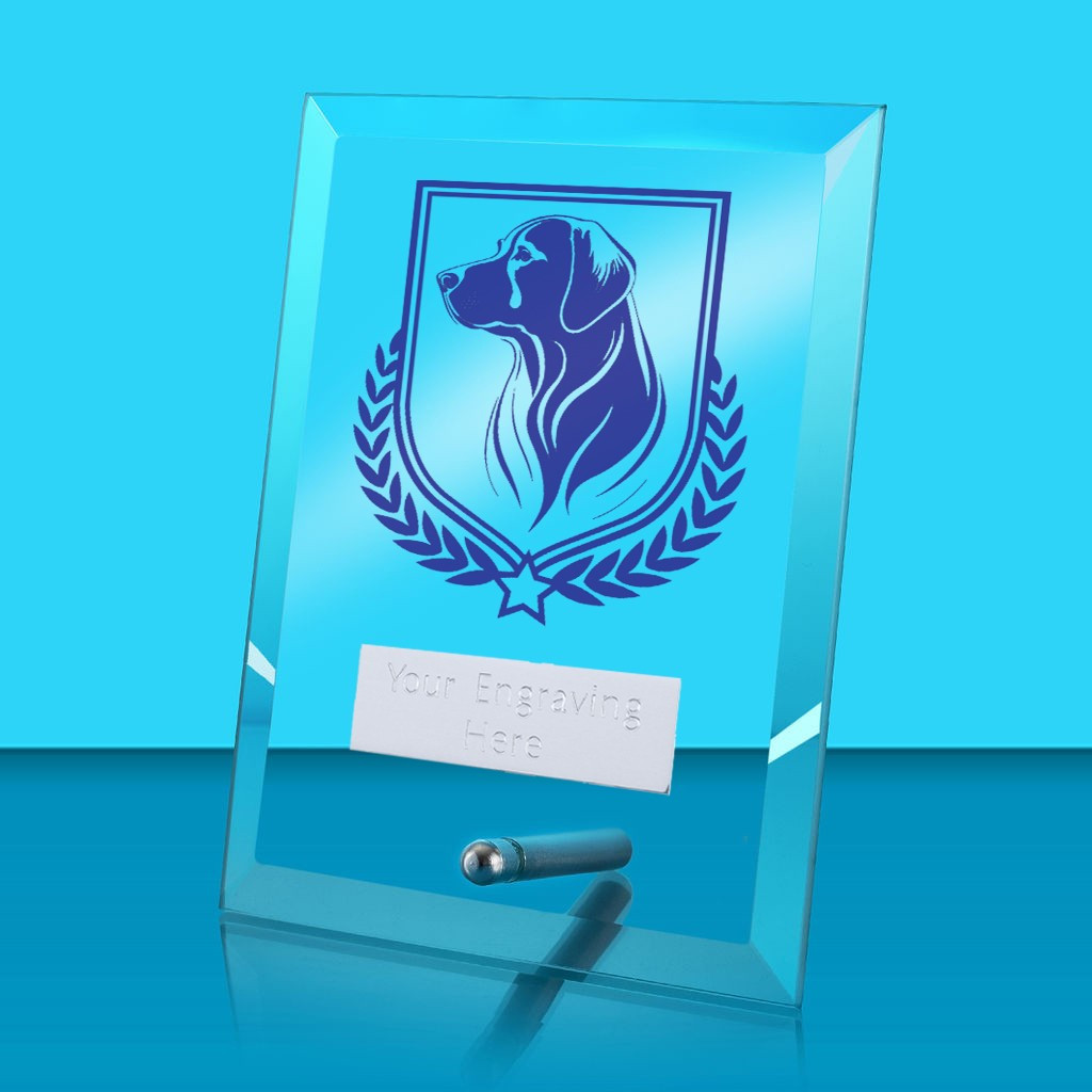 UV Colour Printed Dog Glass Rectangle Award with Metal Pin