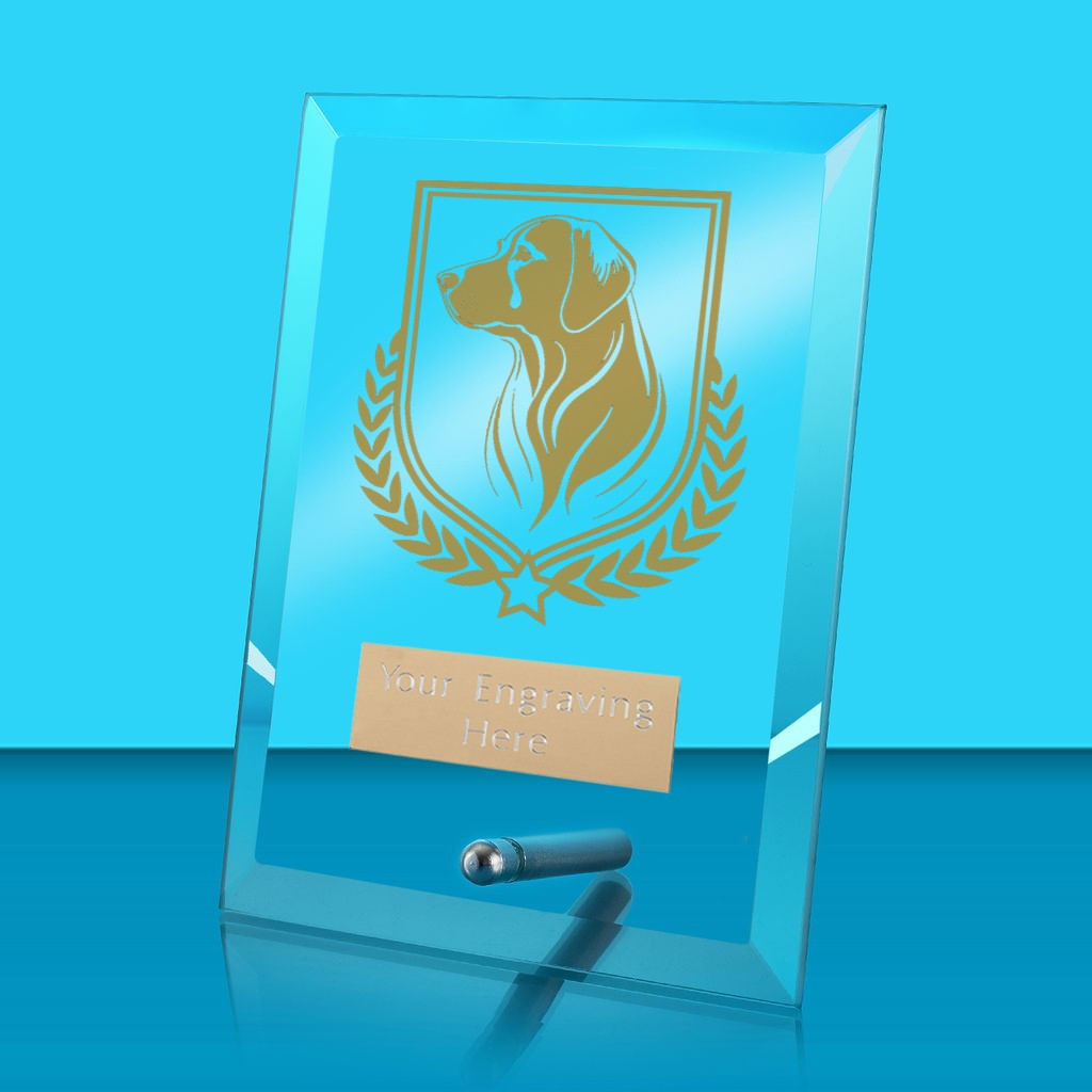 UV Colour Printed Dog Glass Rectangle Award with Metal Pin