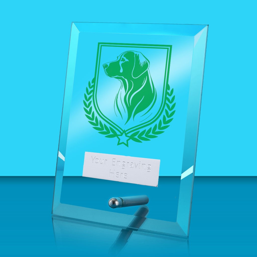 UV Colour Printed Dog Glass Rectangle Award with Metal Pin