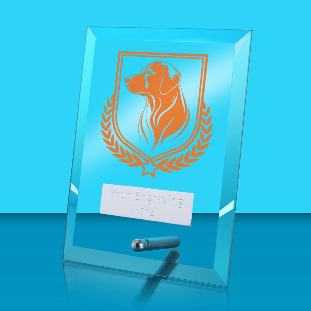 UV Colour Printed Dog Glass Rectangle Award with Metal Pin