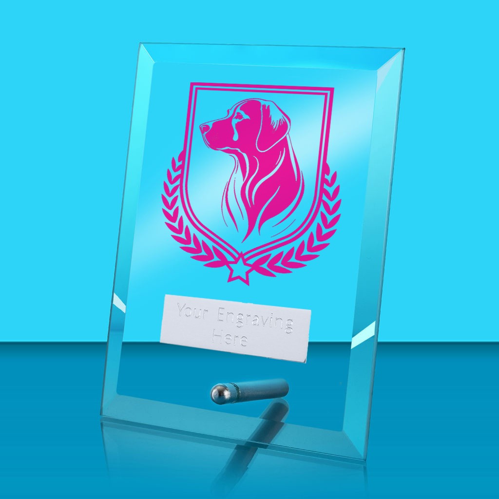 UV Colour Printed Dog Glass Rectangle Award with Metal Pin