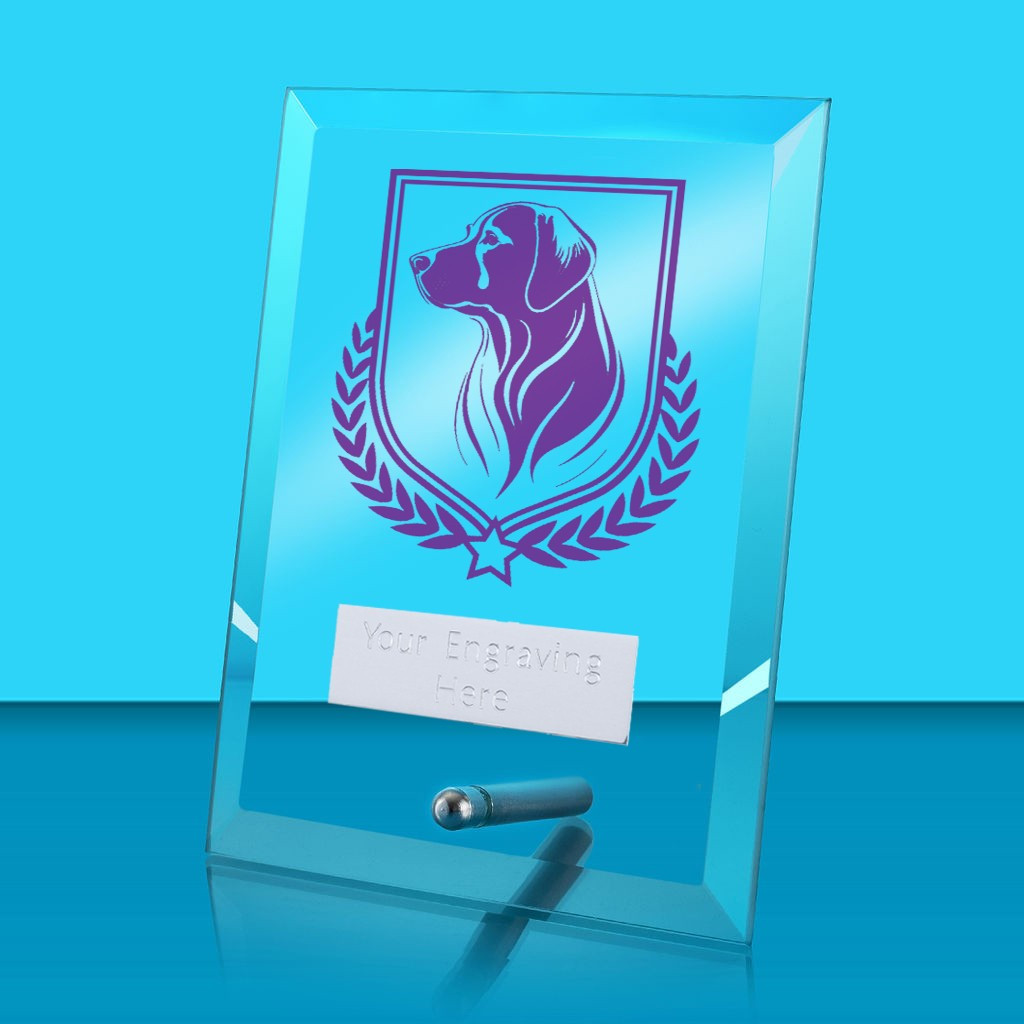 UV Colour Printed Dog Glass Rectangle Award with Metal Pin