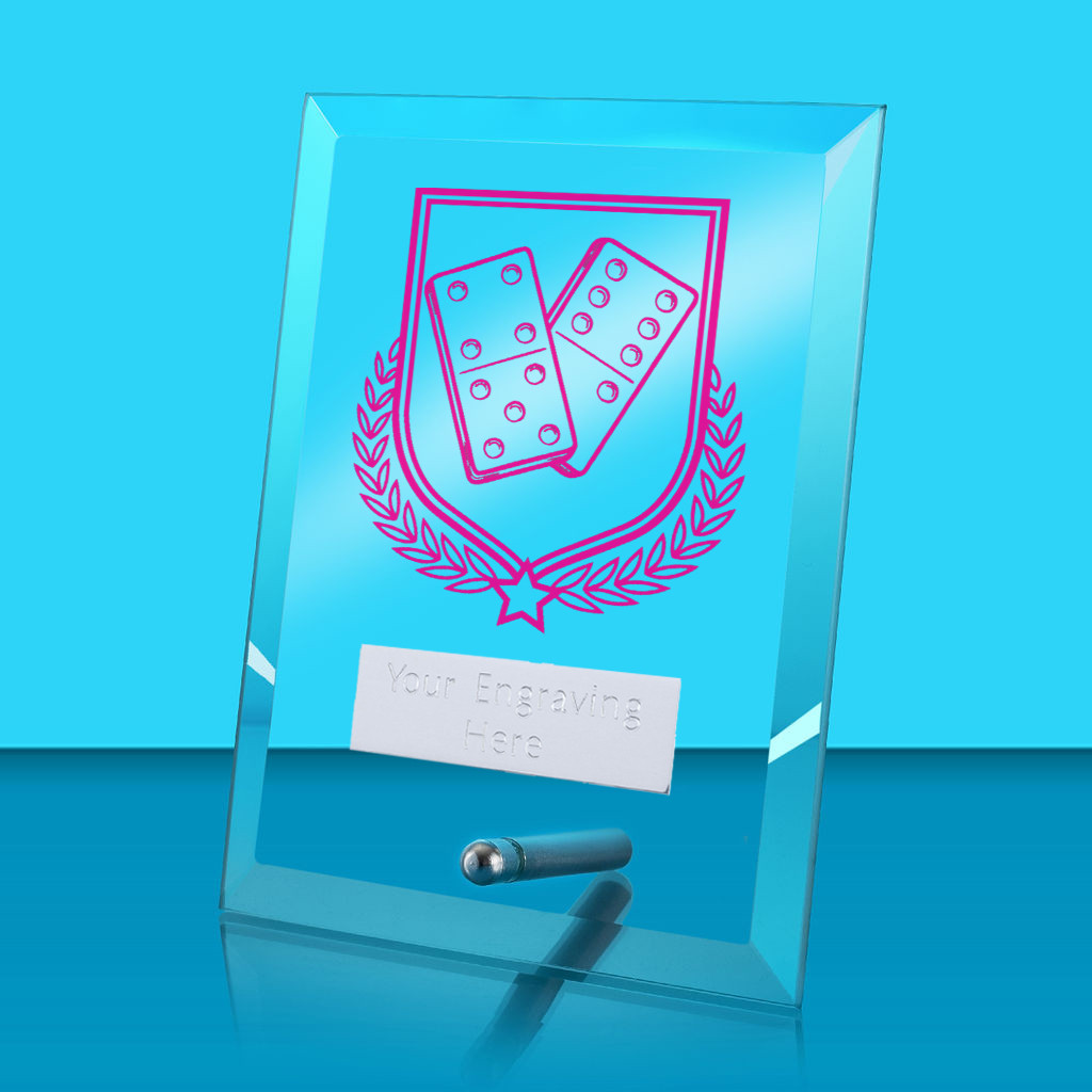 UV Colour Printed Dominoes Glass Rectangle Award with Metal Pin