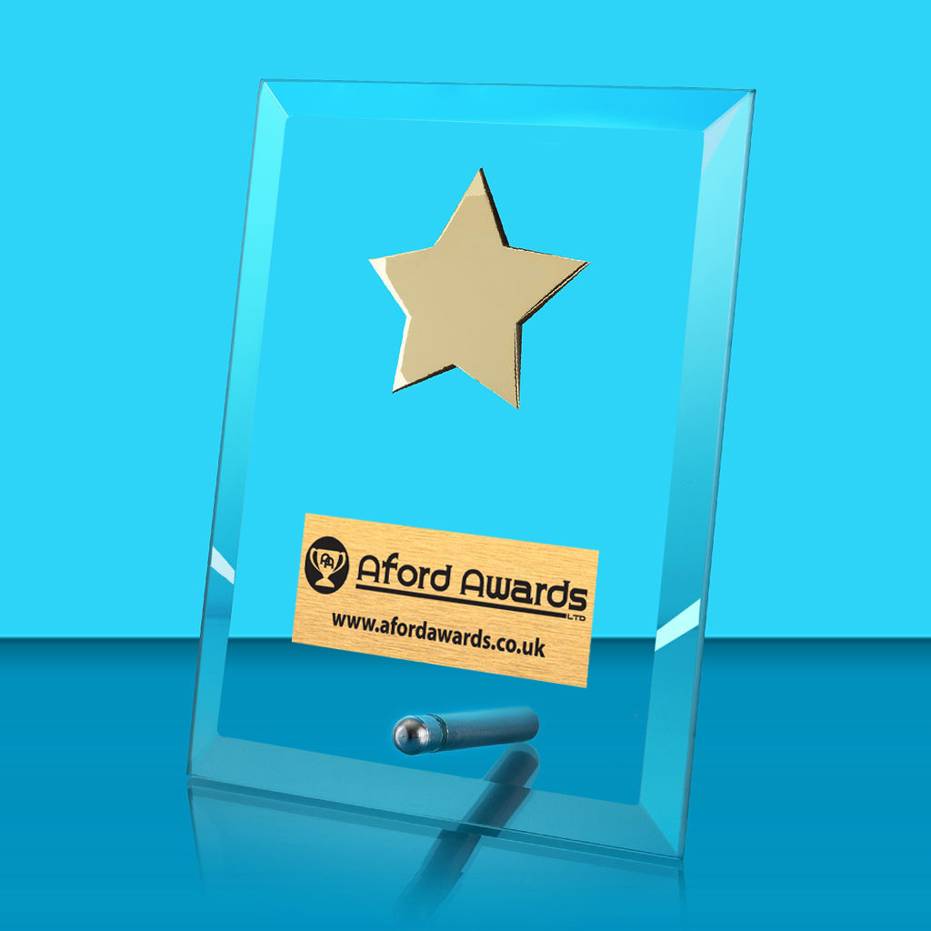 Glass Rectangle Award and Pin with Star