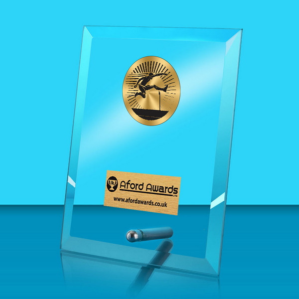 Hurdles Glass Rectangle Award with Metal Pin