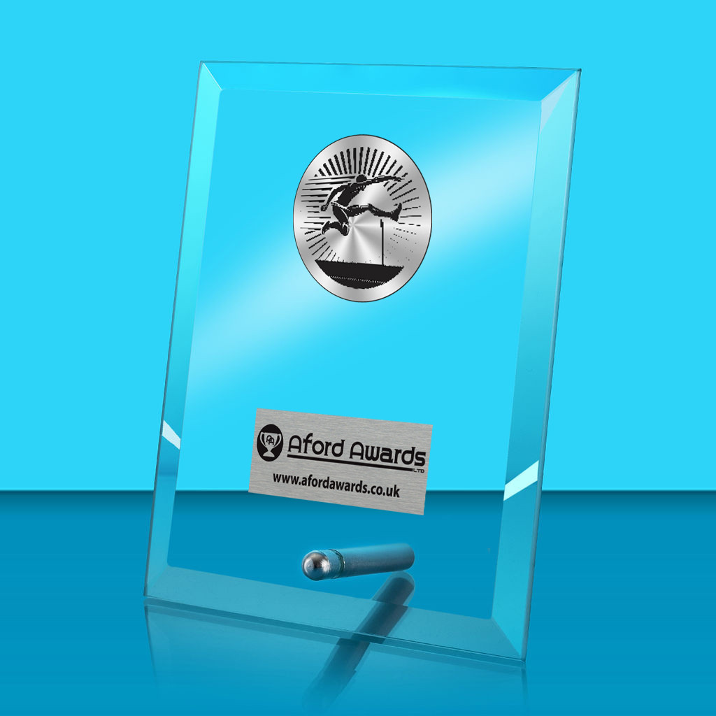 Hurdles Glass Rectangle Award with Metal Pin