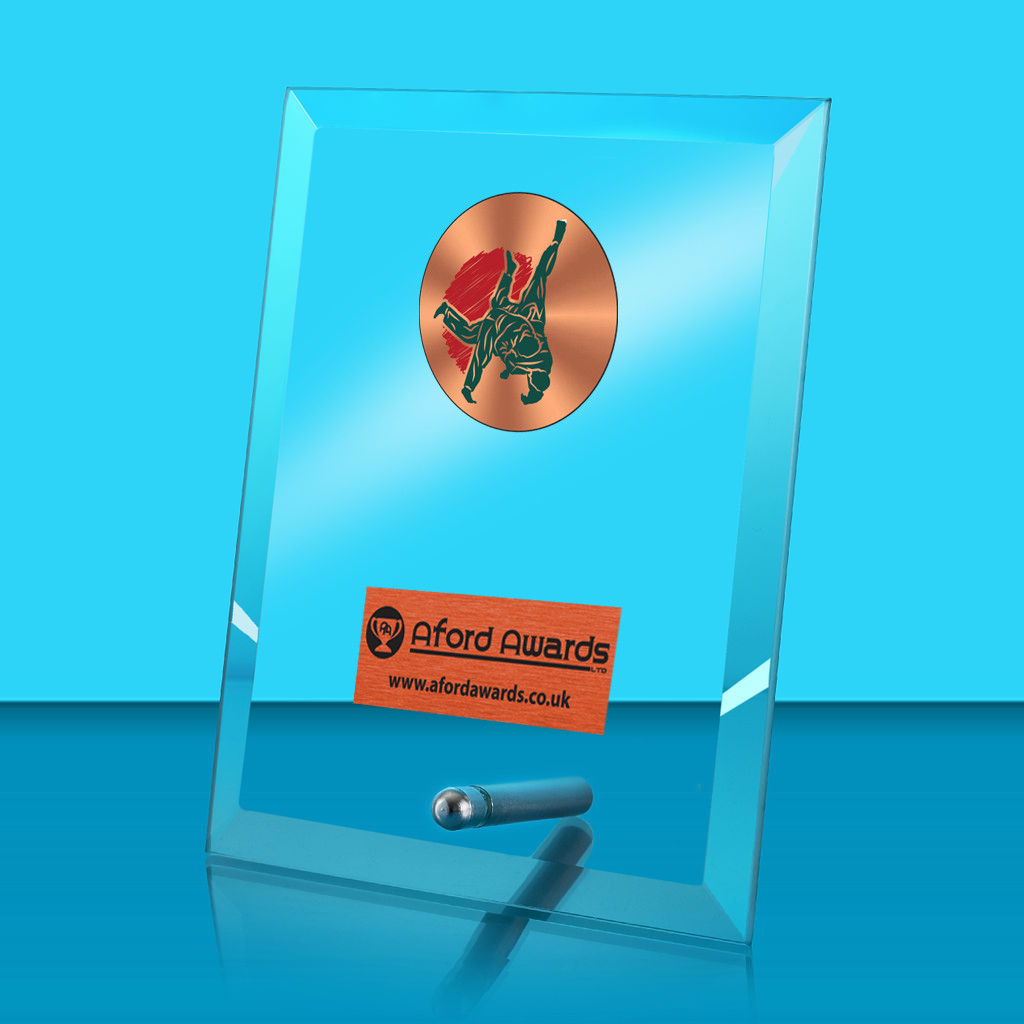 Judo Glass Rectangle Award with Metal Pin