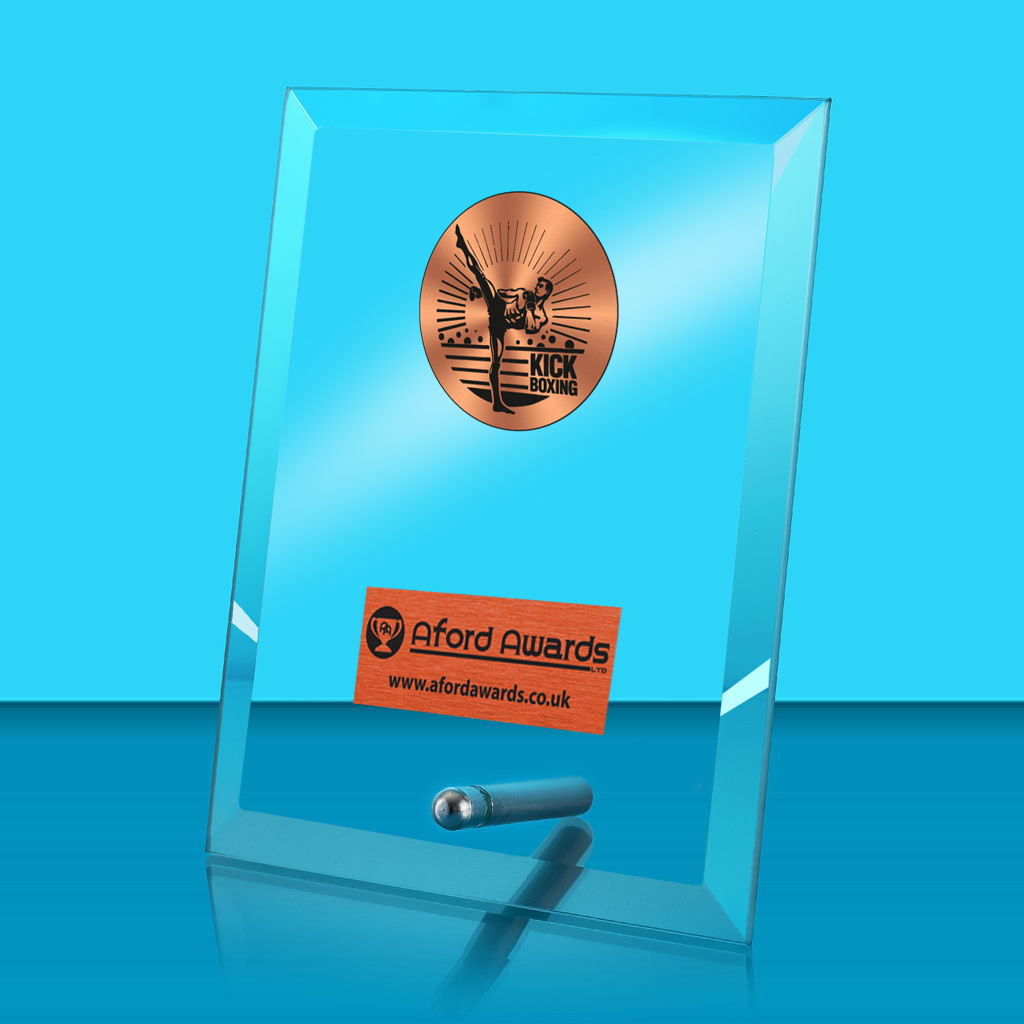 Kickboxing Glass Rectangle Award with Metal Pin