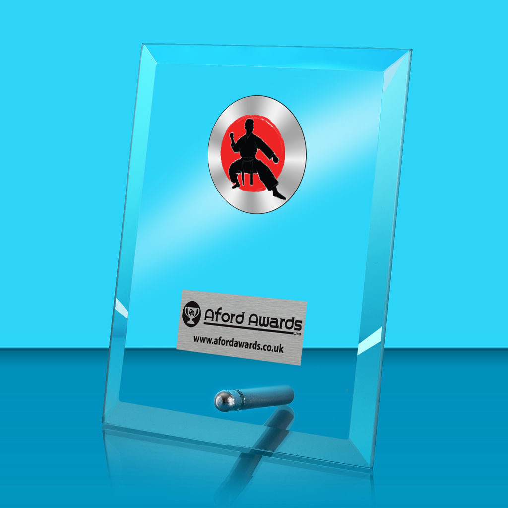 Martial Arts Glass Rectangle Award with Metal Pin