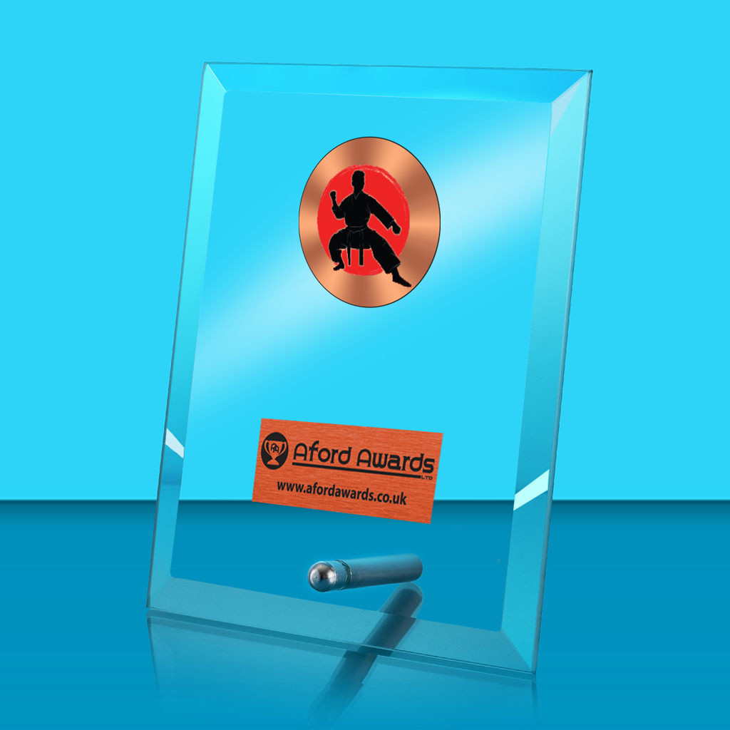 Martial Arts Glass Rectangle Award with Metal Pin