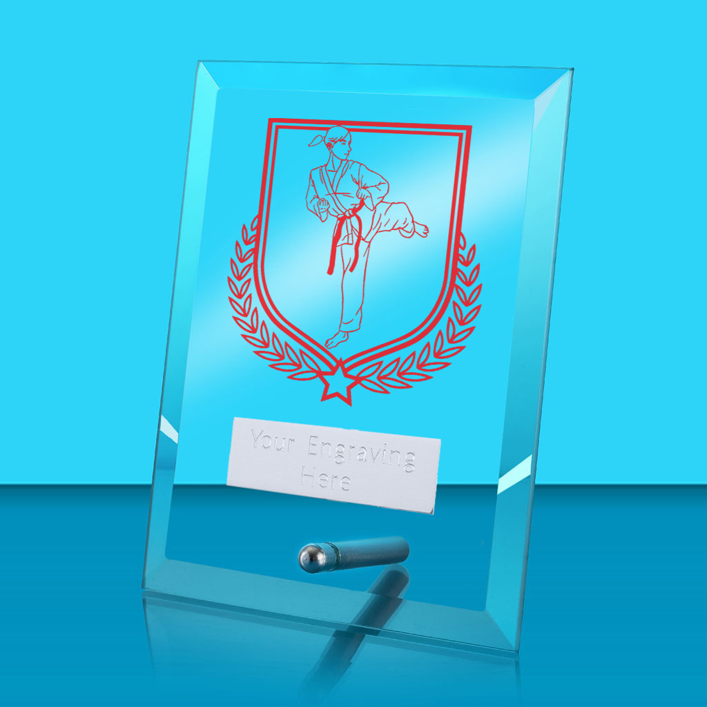 UV Colour Printed Martial Arts Glass Rectangle Award with Metal Pin