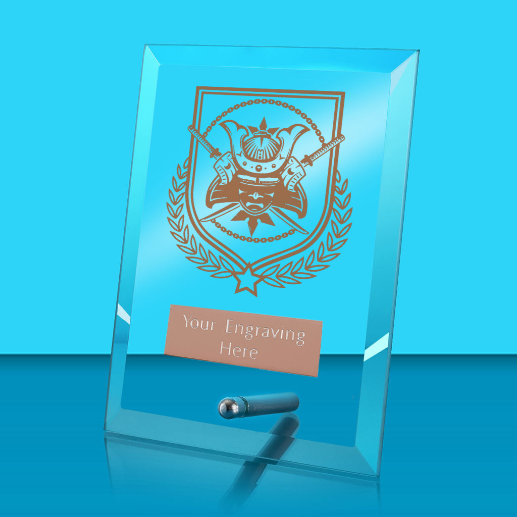 UV Colour Printed Martial Arts Glass Rectangle Award with Metal Pin