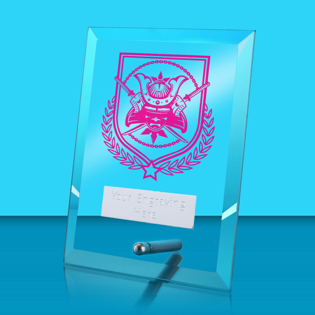 UV Colour Printed Martial Arts Glass Rectangle Award with Metal Pin