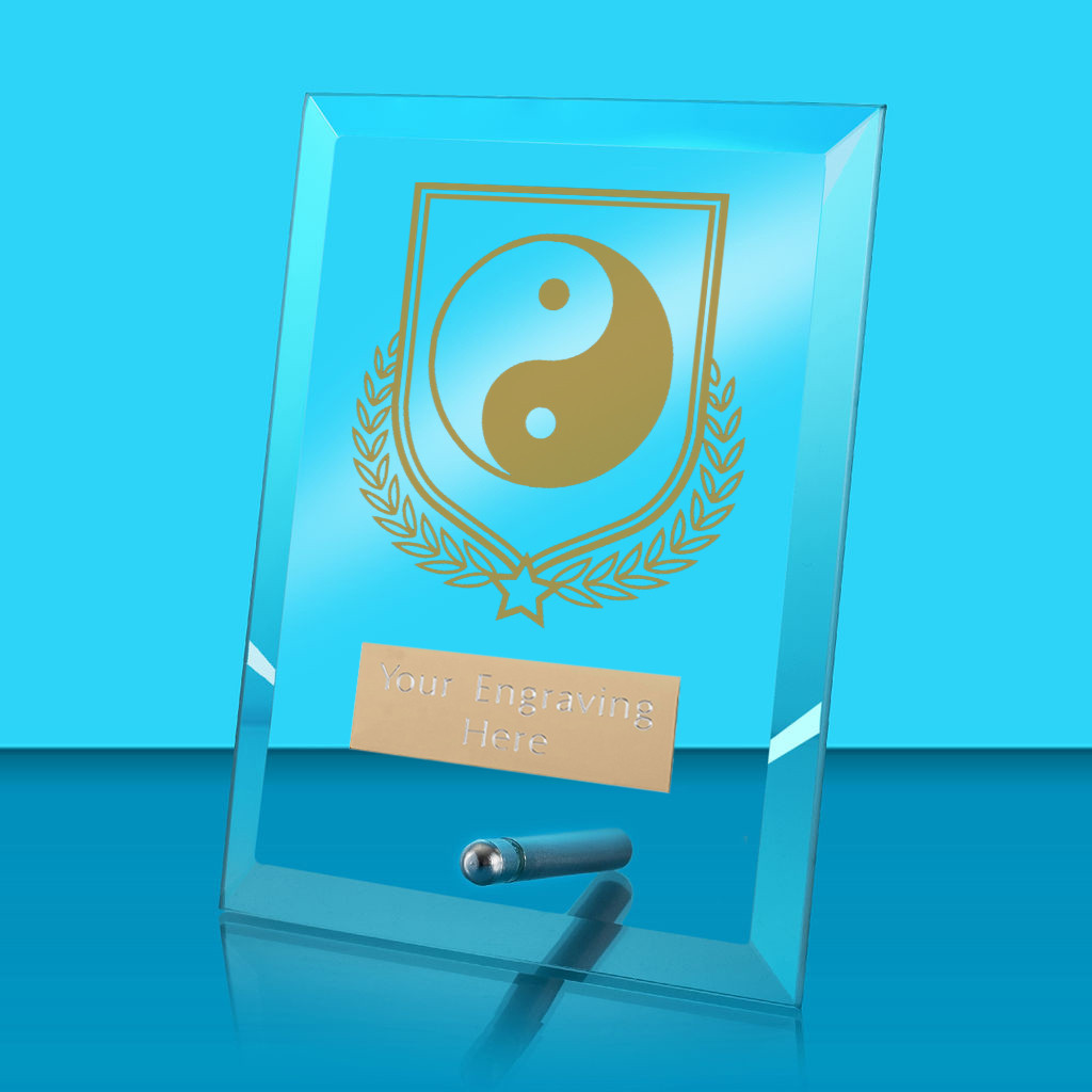 UV Colour Printed Martial Arts Glass Rectangle Award with Metal Pin