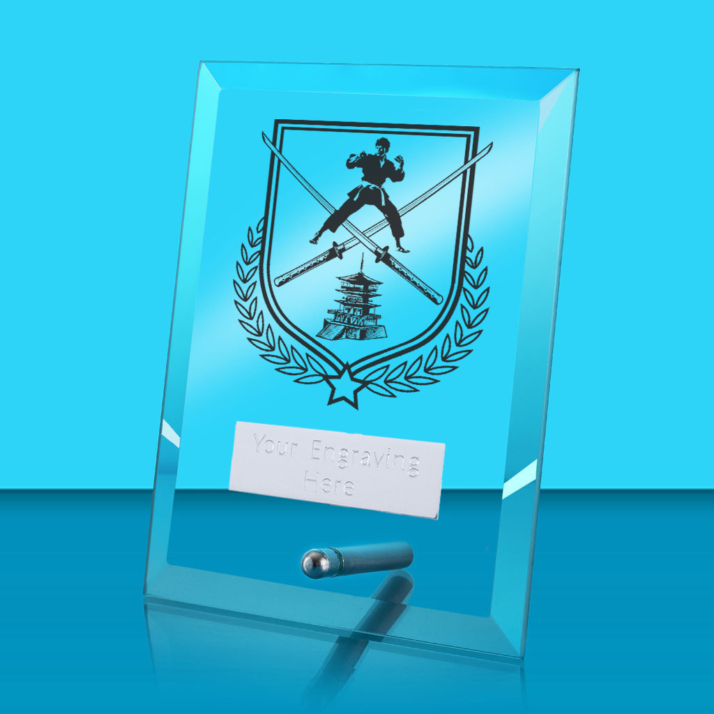 UV Colour Printed Martial Arts Glass Rectangle Award with Metal Pin