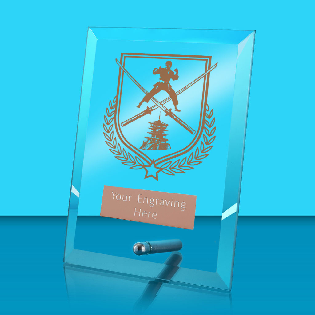UV Colour Printed Martial Arts Glass Rectangle Award with Metal Pin