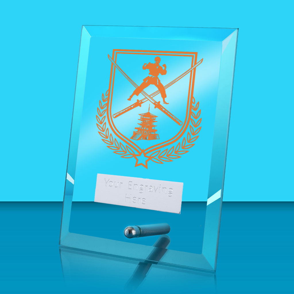 UV Colour Printed Martial Arts Glass Rectangle Award with Metal Pin