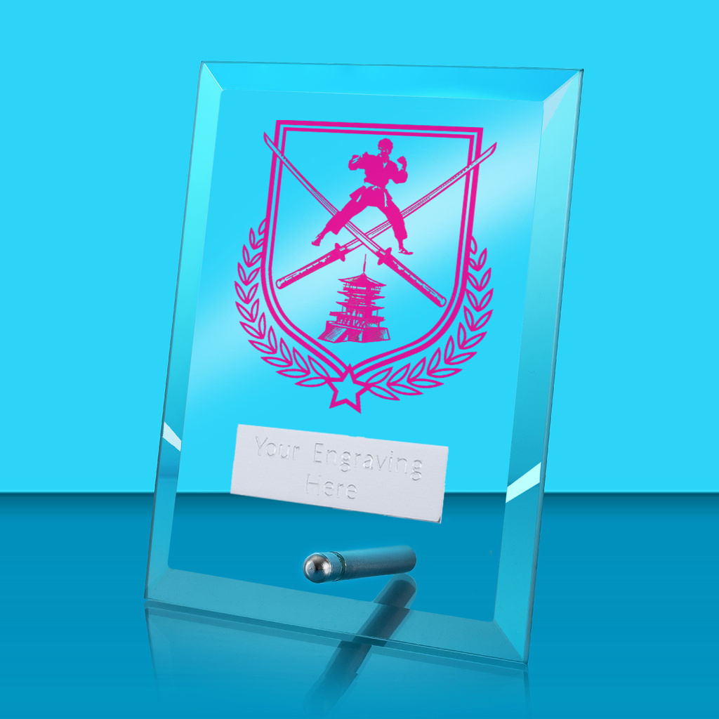 UV Colour Printed Martial Arts Glass Rectangle Award with Metal Pin