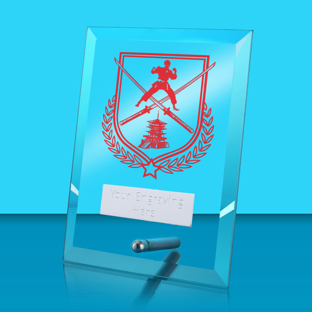 UV Colour Printed Martial Arts Glass Rectangle Award with Metal Pin