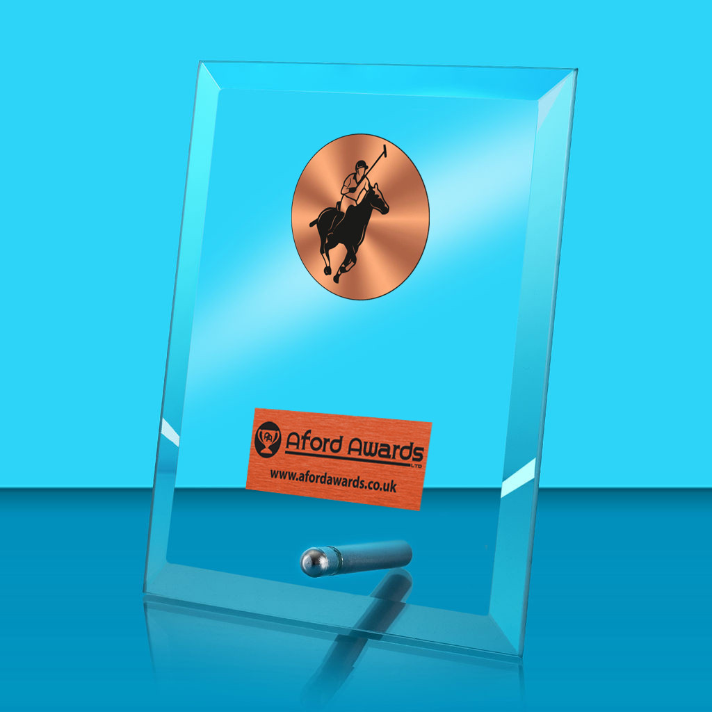 Polo Glass Rectangle Award with Metal Pin