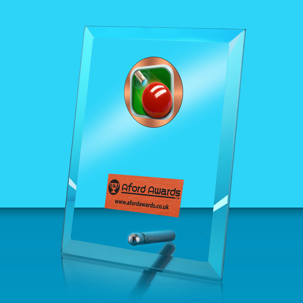 Snooker Glass Rectangle Award with Metal Pin