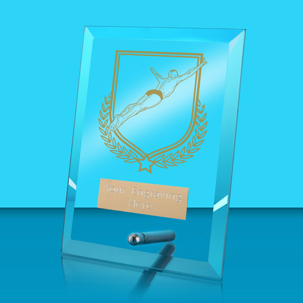 UV Colour Printed Diving Glass Rectangle Award with Metal Pin