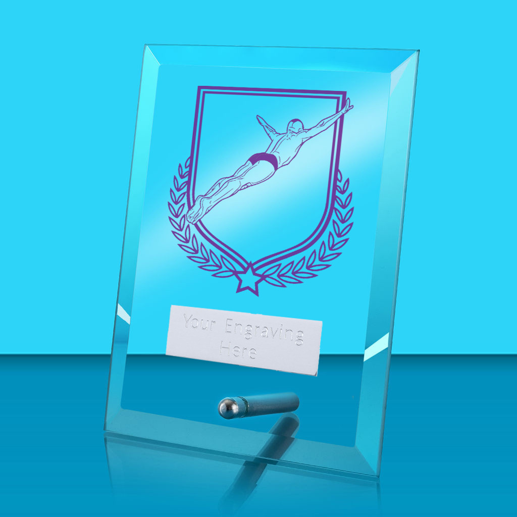 UV Colour Printed Diving Glass Rectangle Award with Metal Pin