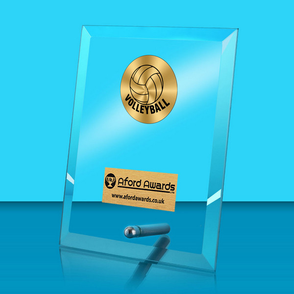 Volleyball Glass Rectangle Award with Metal Pin