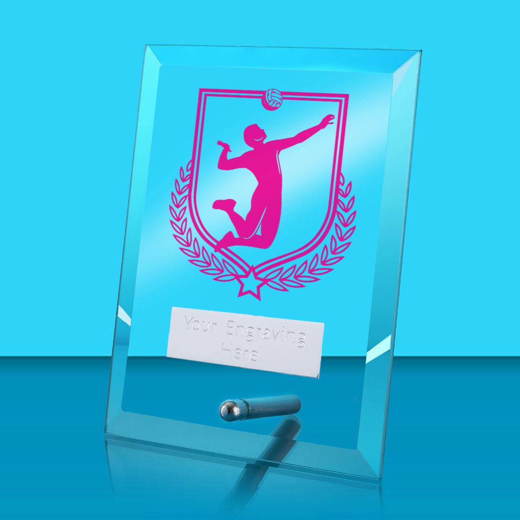 UV Colour Printed Volleyball Glass Rectangle Award with Metal Pin