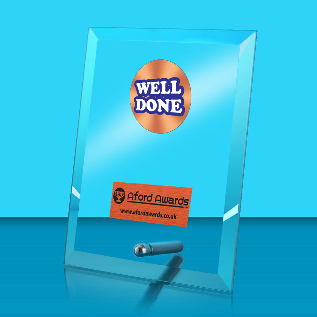 Well Done Glass Rectangle Award with Metal Pin