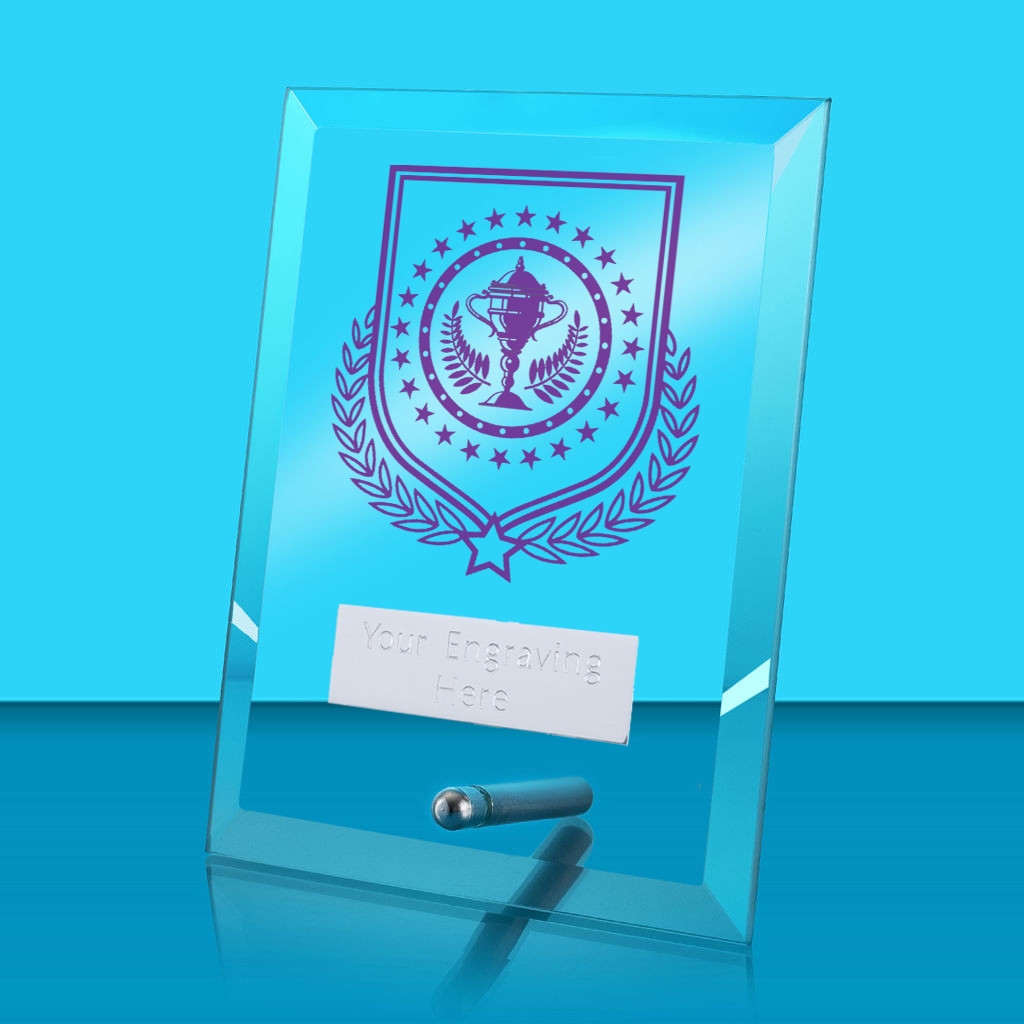 UV Colour Printed Winner Glass Rectangle Award with Metal Pin