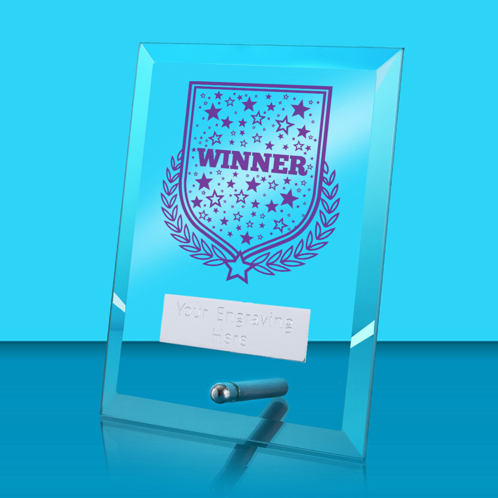 UV Colour Printed Winner Glass Rectangle Award with Metal Pin