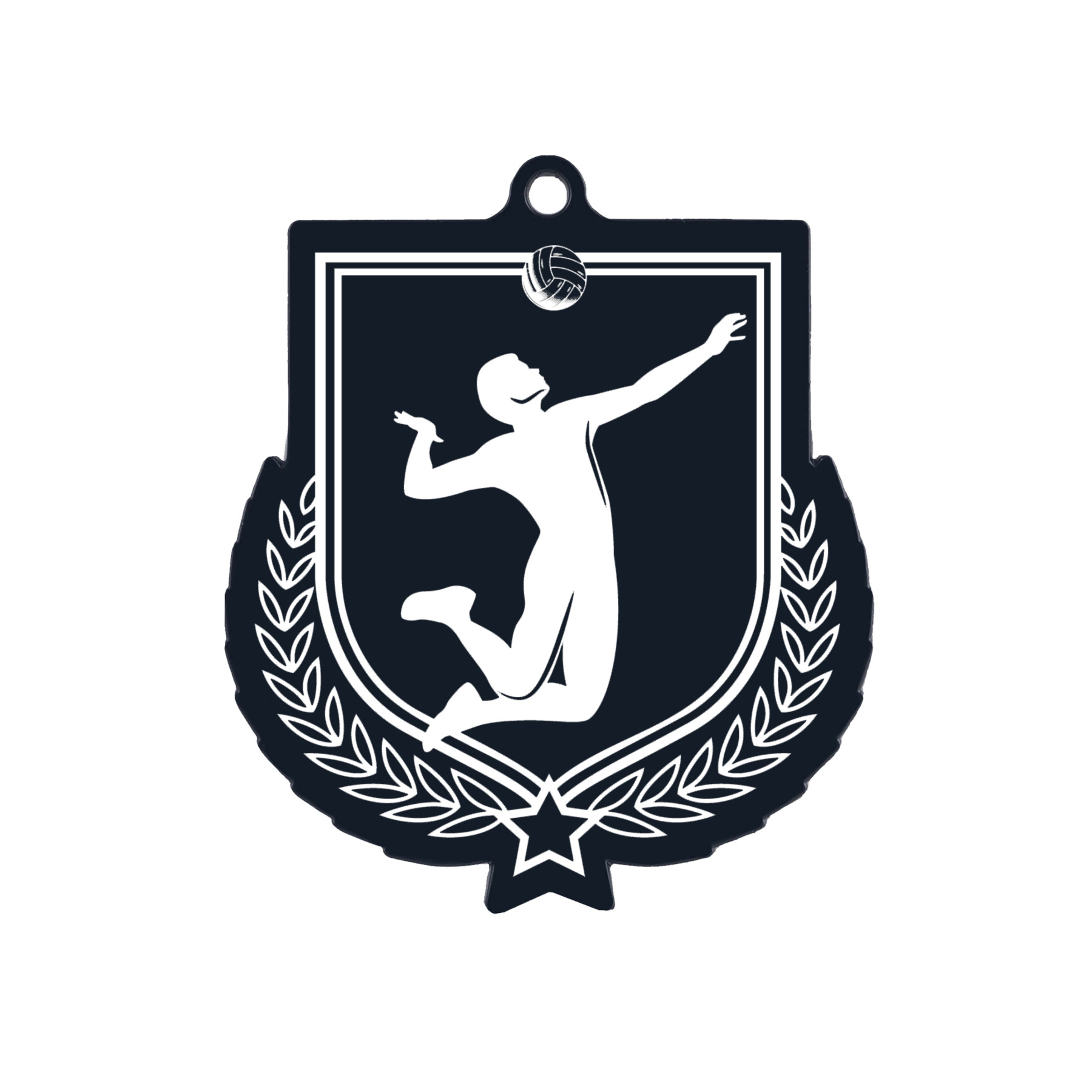 Colour Printed Volleyball Shield Shaped Medal