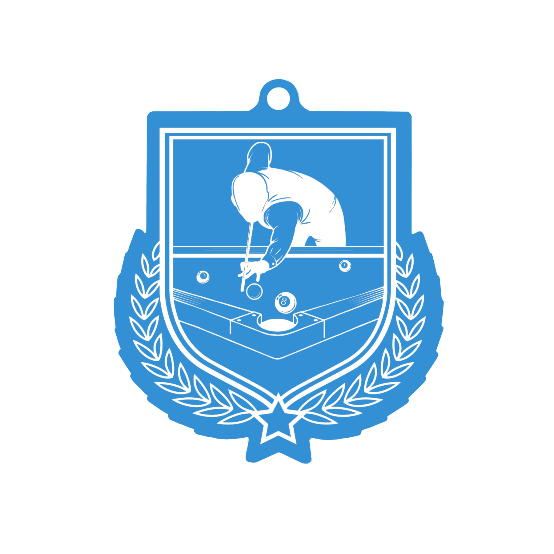Colour Printed Pool Shield Shaped Medal