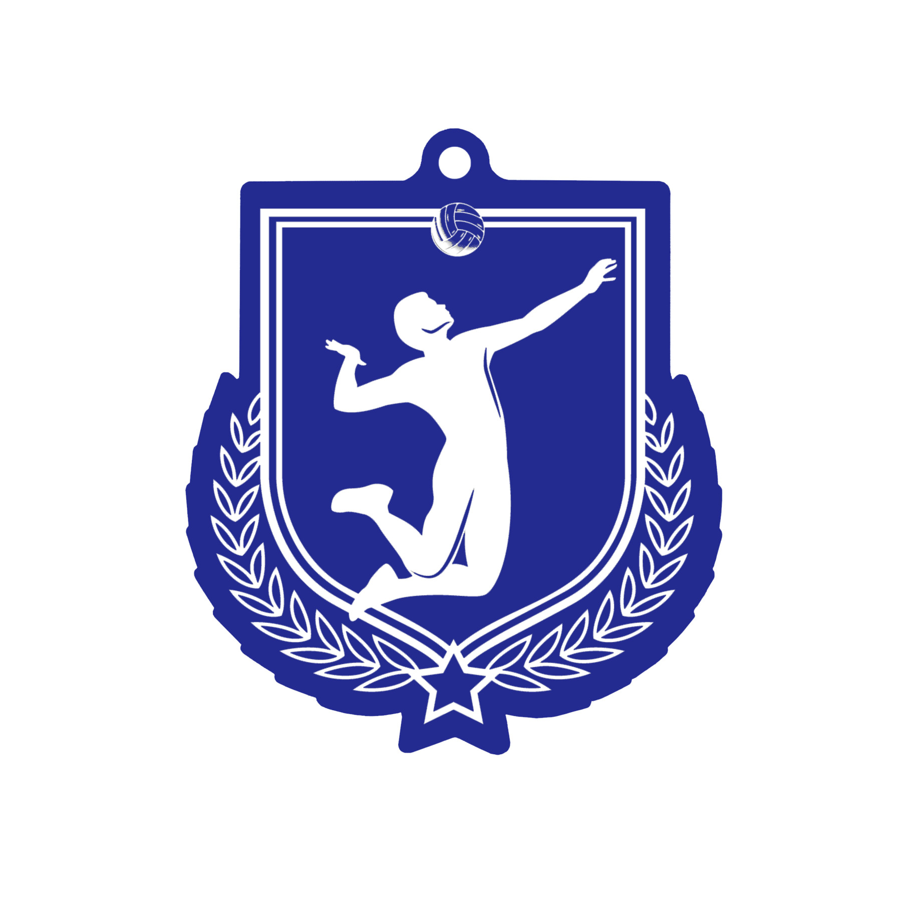 Colour Printed Volleyball Shield Shaped Medal