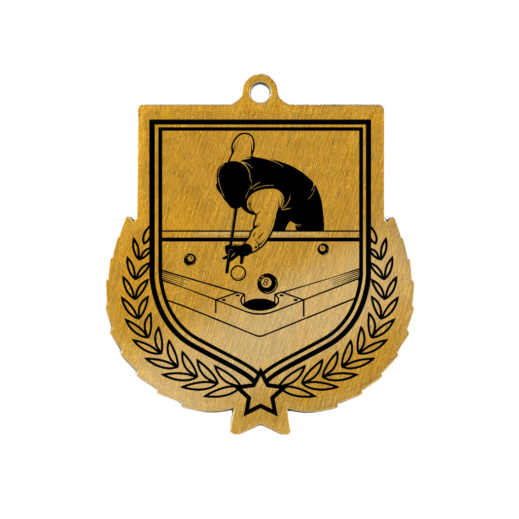 Colour Printed Pool Shield Shaped Medal