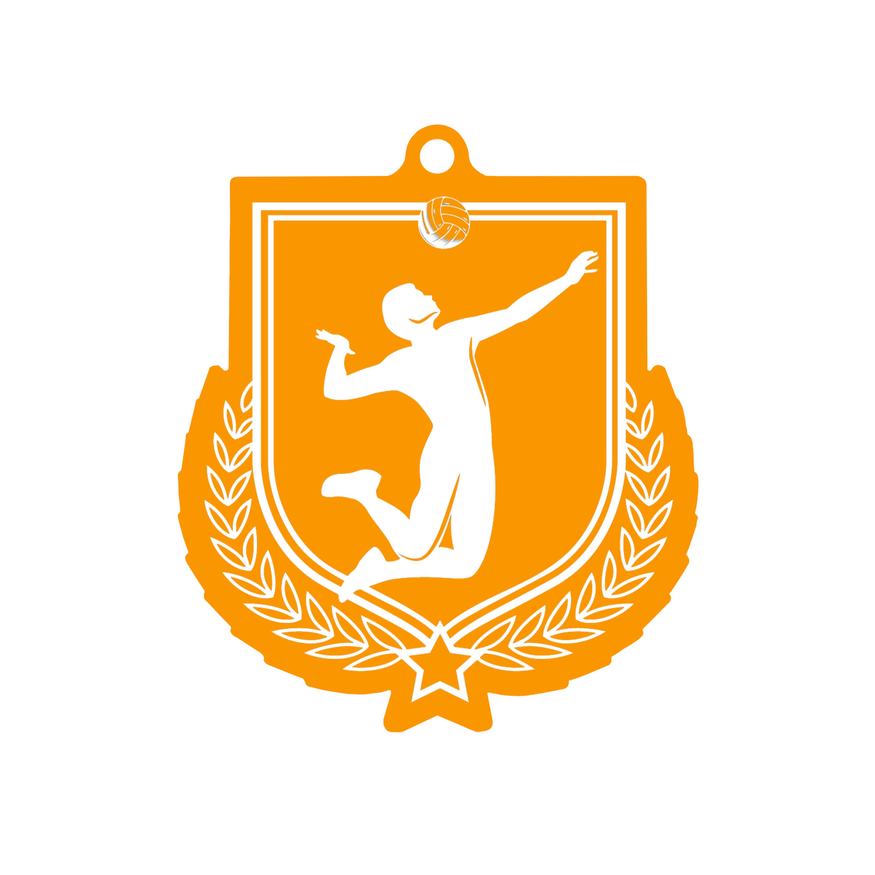Colour Printed Volleyball Shield Shaped Medal