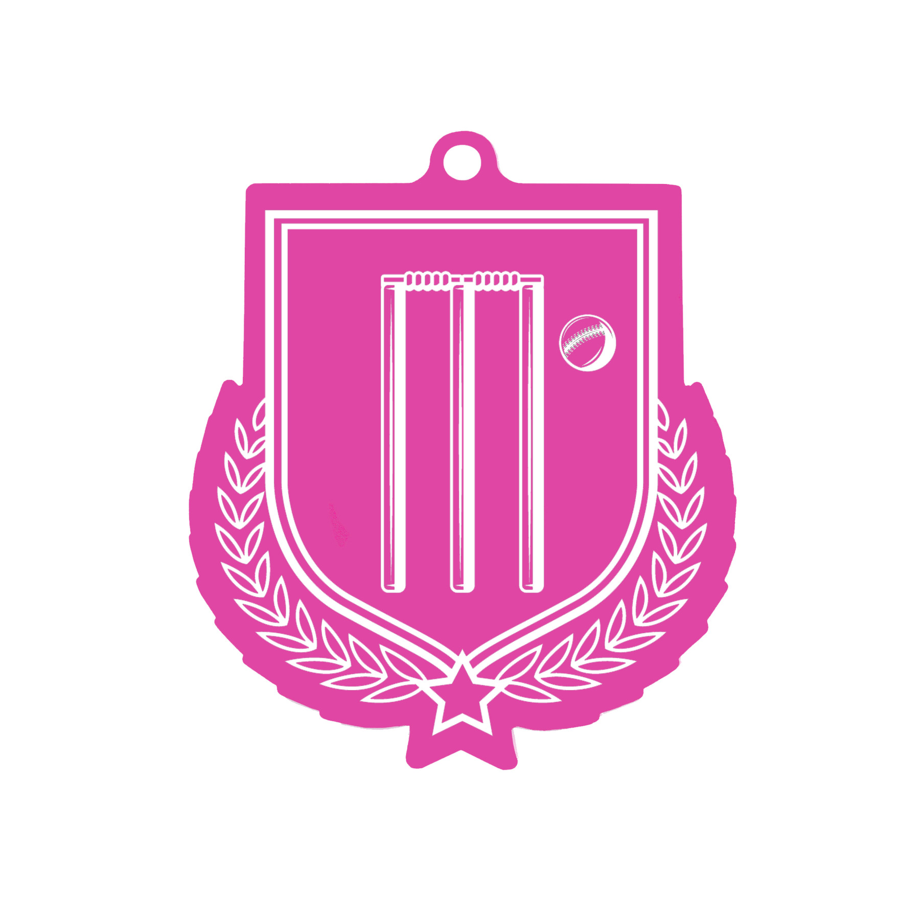 Colour Printed Cricket Shield Shaped Medal