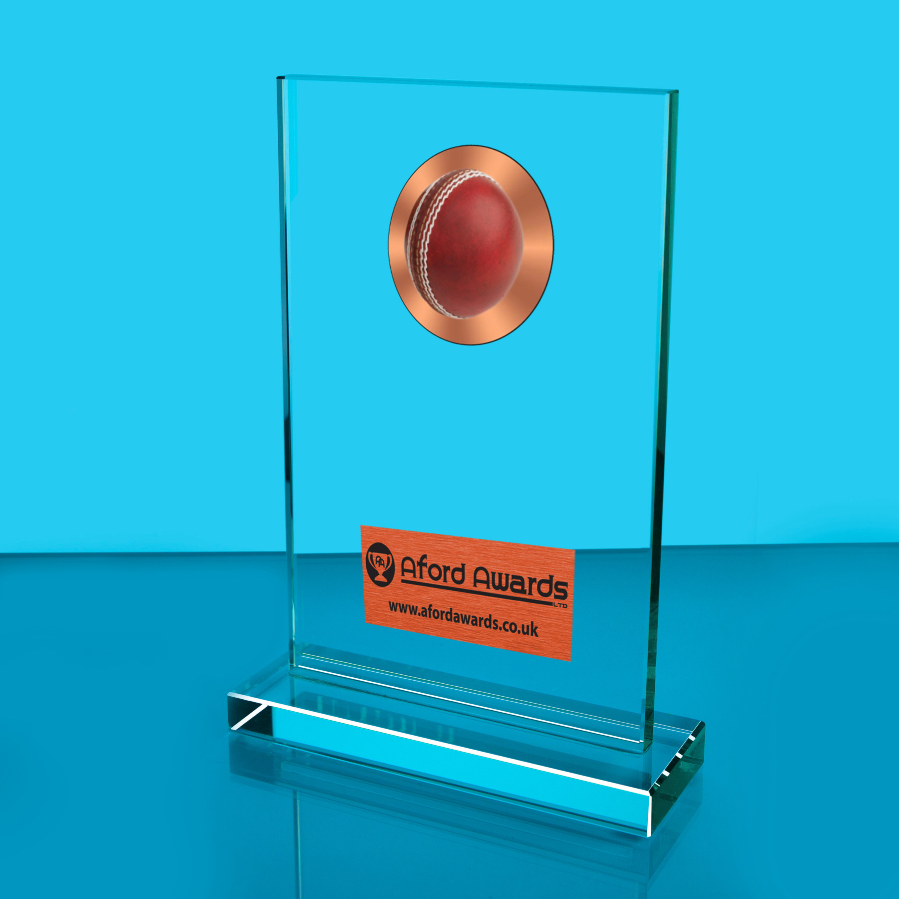 Cricket Thick Glass Plaque with Black Presentation Box