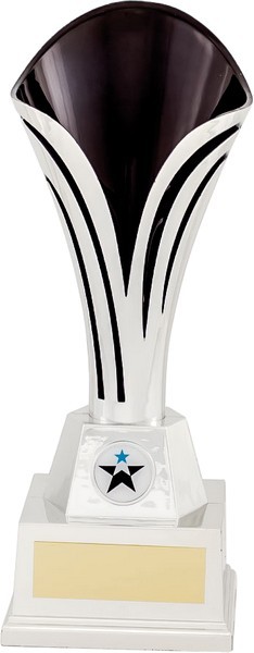 Silver and Black Fluted Cup