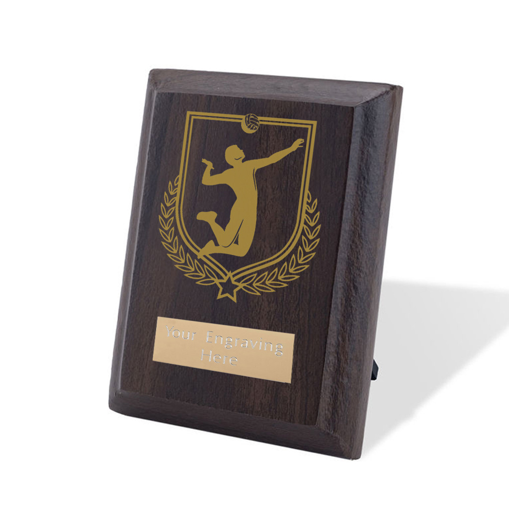 UV Colour Printed Volleyball Walnut Plaque with Strut