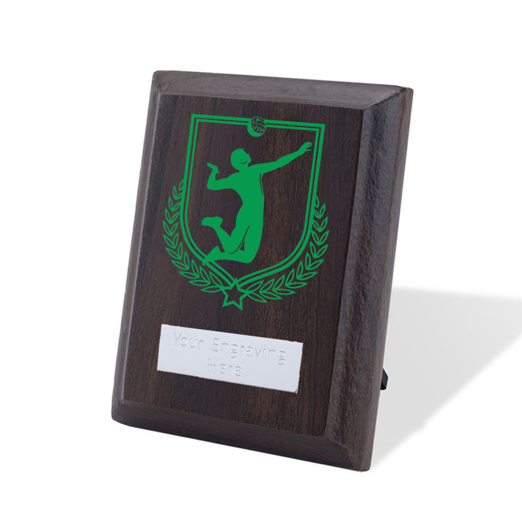 UV Colour Printed Volleyball Walnut Plaque with Strut