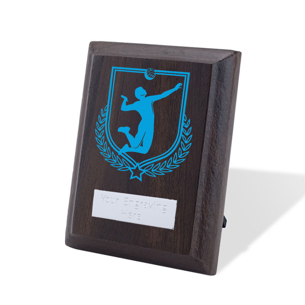UV Colour Printed Volleyball Walnut Plaque with Strut
