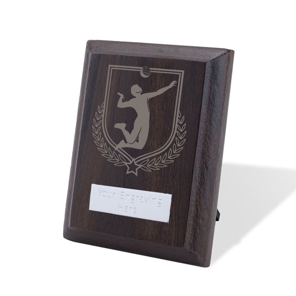 UV Colour Printed Volleyball Walnut Plaque with Strut