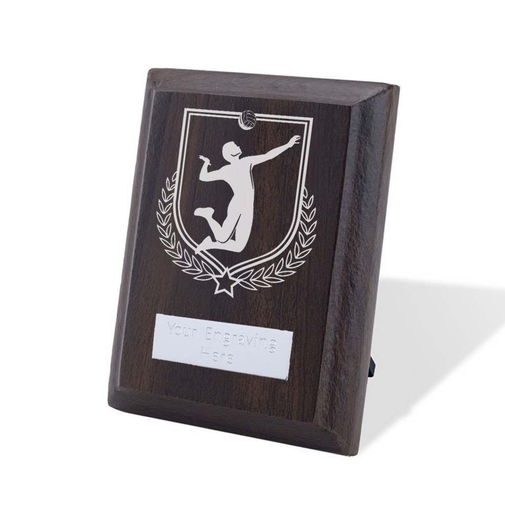 UV Colour Printed Volleyball Walnut Plaque with Strut