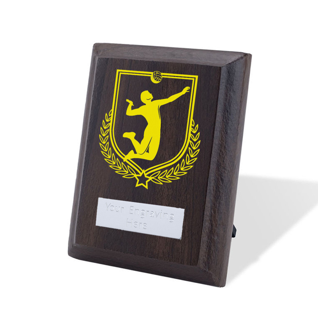 UV Colour Printed Volleyball Walnut Plaque with Strut